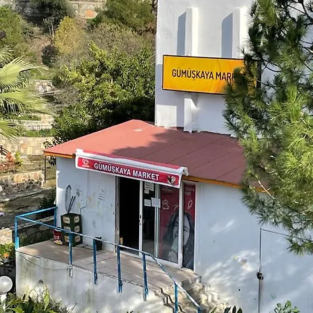 Gumuslukte Ozel Plajli Ve Havuzlu Mustakil Yazlik 博德鲁姆